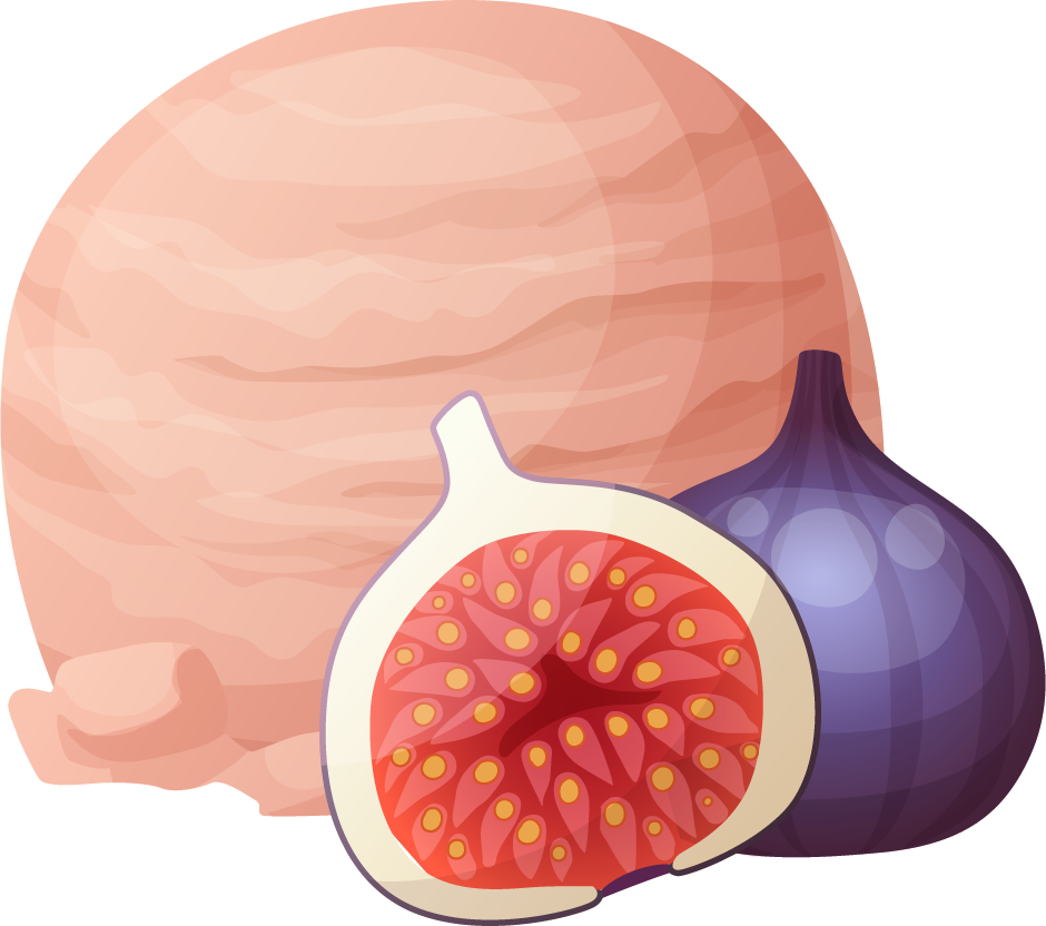 Feige Fig